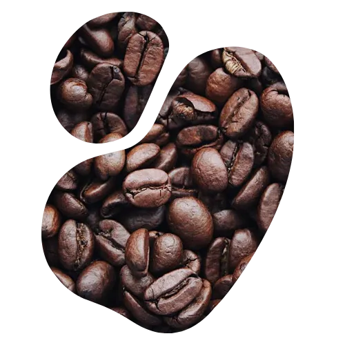 café contre les punaises de lit